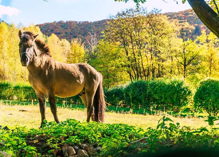 Gombaszoeg * Gombasek